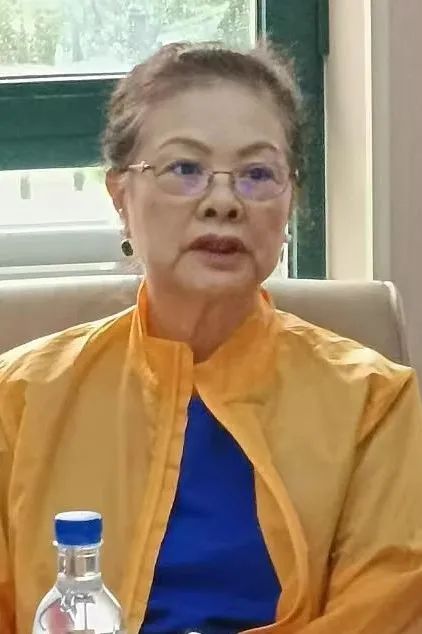 黄鹂 黄鹂