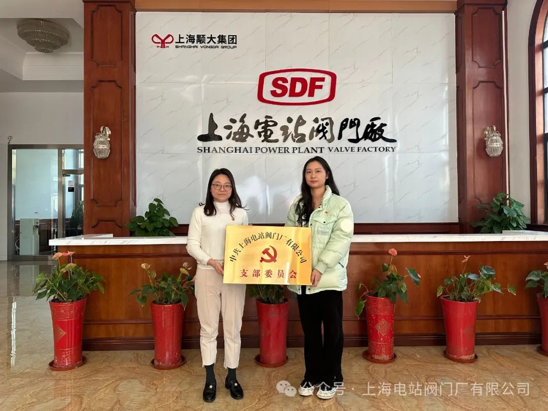 朱家角镇社会党委专职副书记袁佳授党牌 朱家角镇社会党委专职副书记袁佳授党牌
