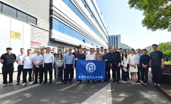 杭州良盛电气有限公司 杭州良盛电气有限公司