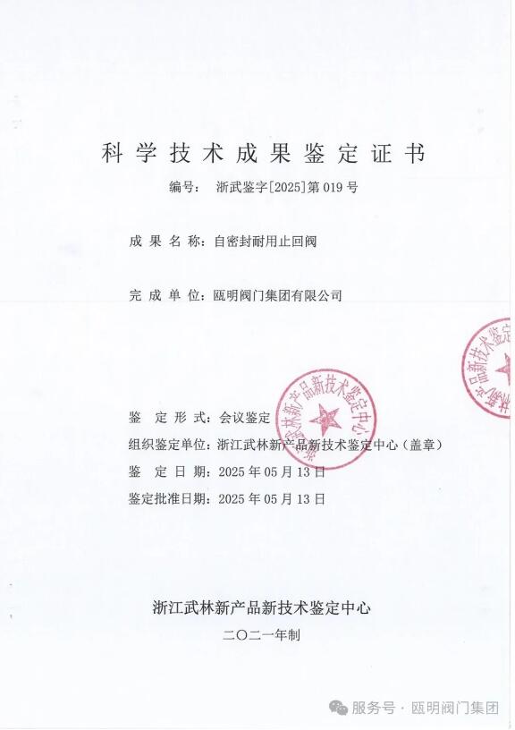自密封耐用止回阀:高效密封,便捷生产 自密封耐用止回阀:高效密封,便捷生产