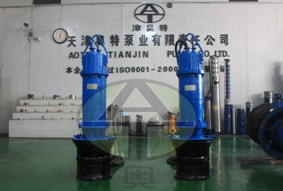 山东荣成工程项目用轴流潜水泵生产厂家-800QZB轴流泵