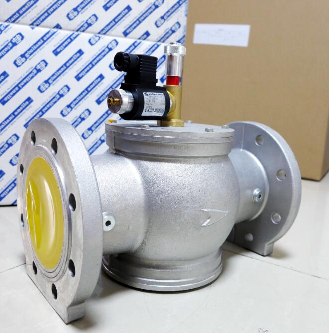 Giuliani EV100/6Bͽжϵŷ