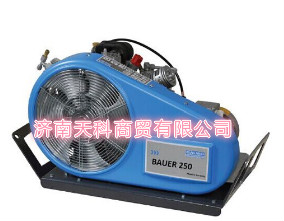 ¹BAUER250-TEƶʽѹ