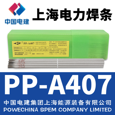 PP-A407ֺ/E310-15