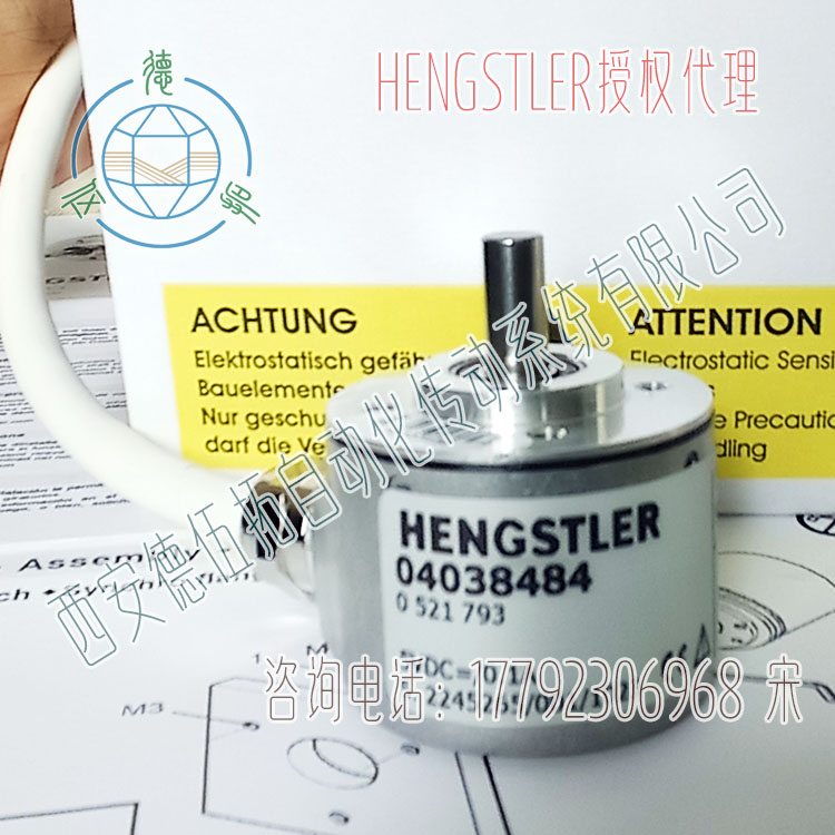 ¹Hengstlerʿ0521793ʵ